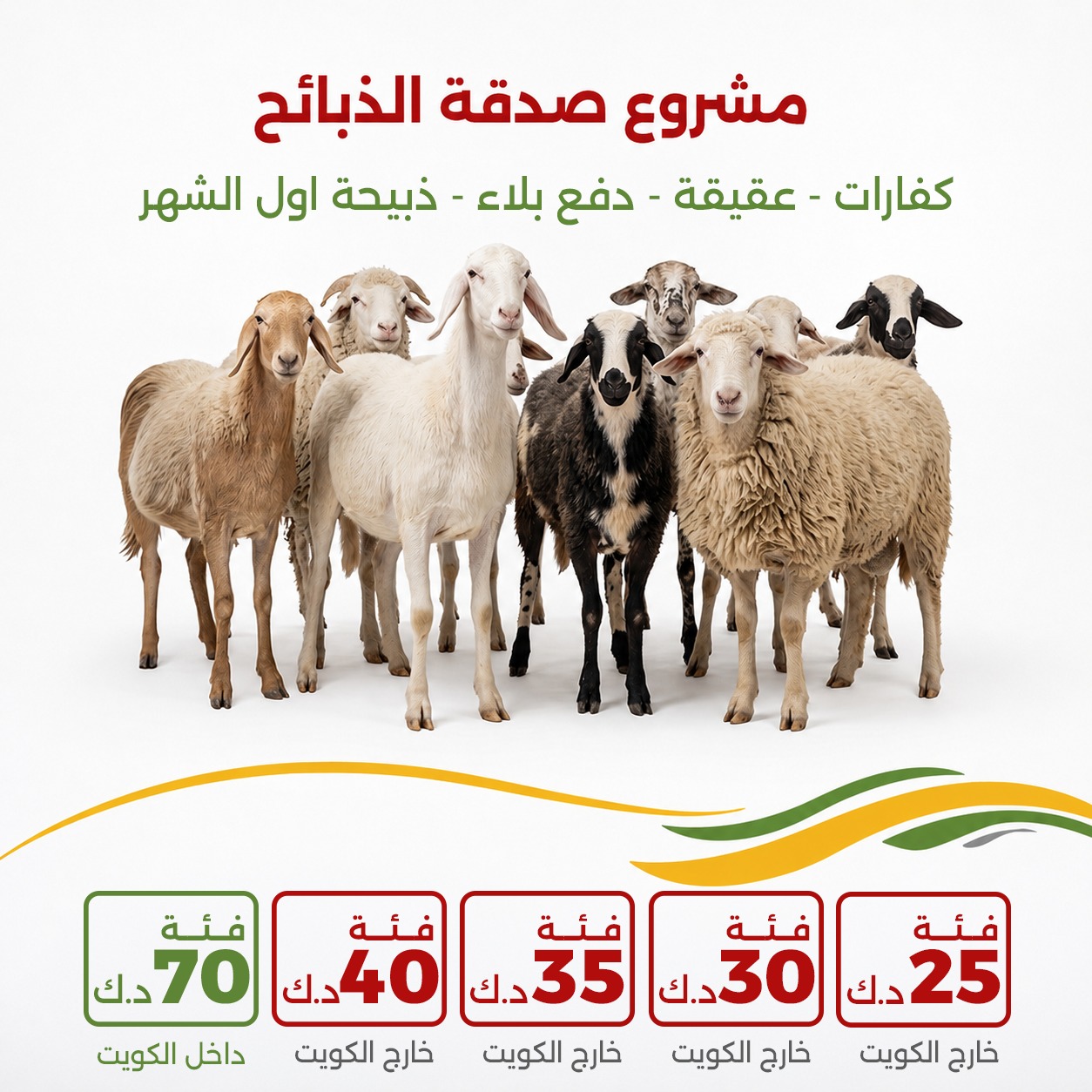 مشروع الذبائح 
